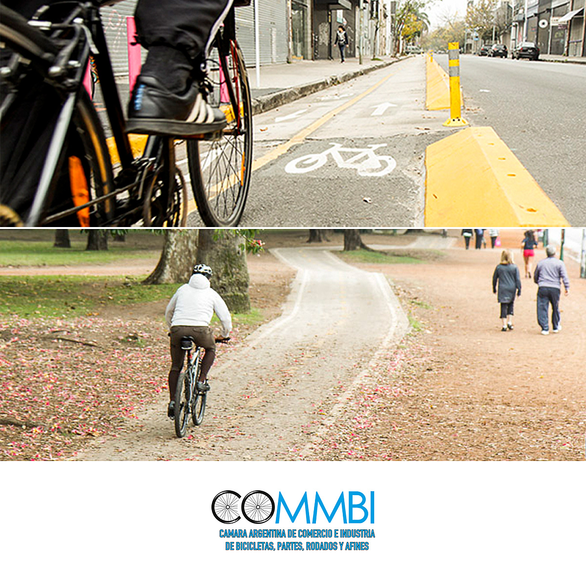 Bicisendas vs Ciclovías: sus diferencias