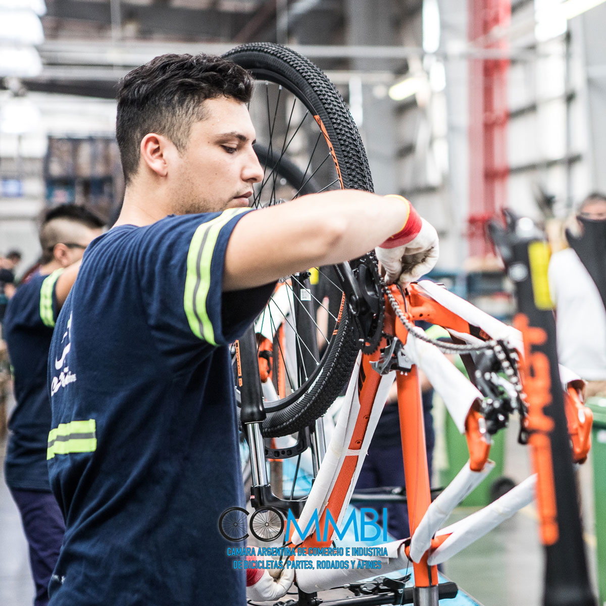 Comunicación sobre la situación actual del gremio de la bicicleta